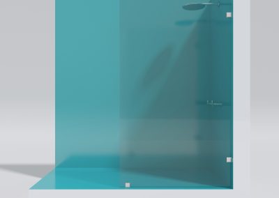 Shower Door Fijo