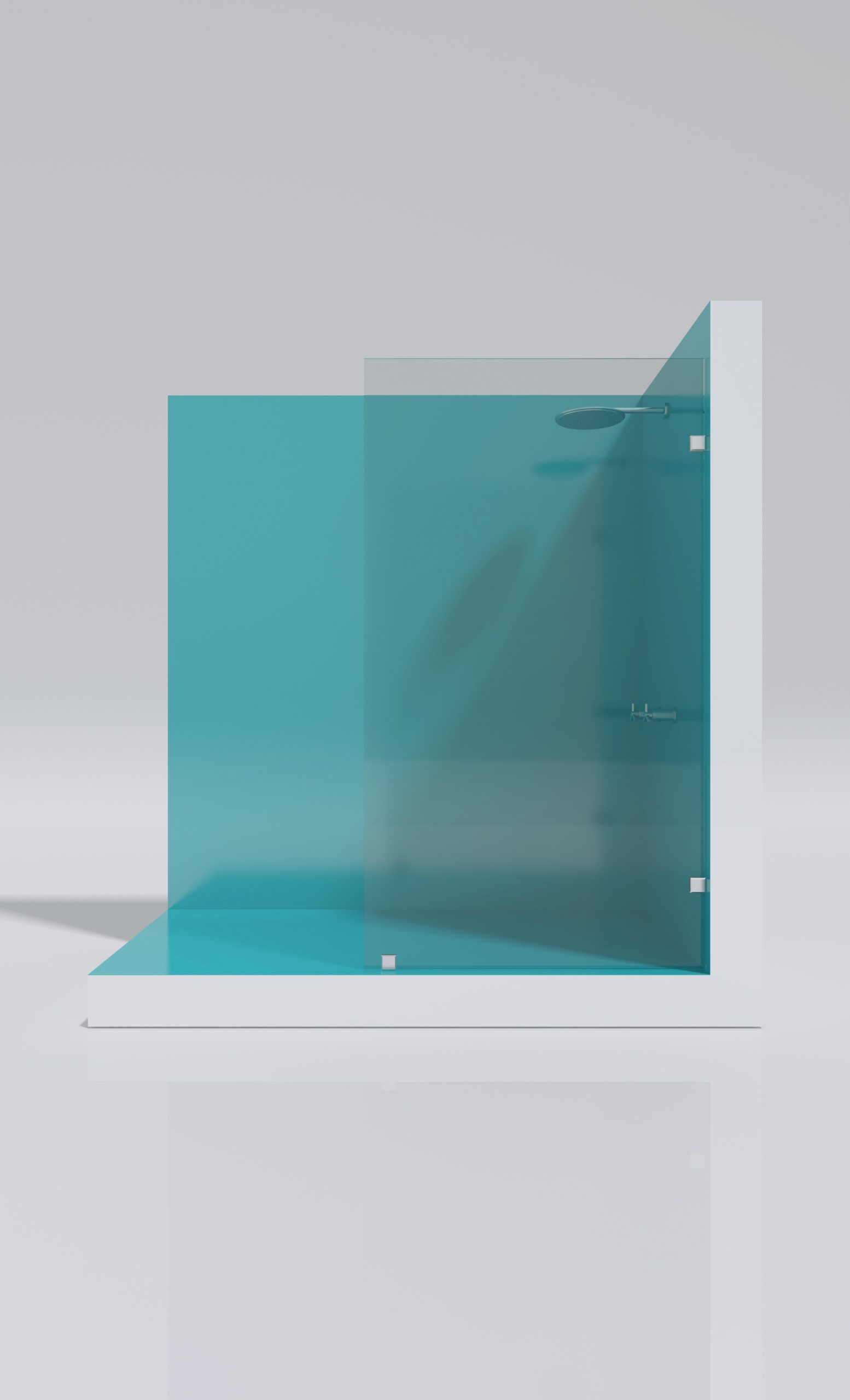 Shower Door Fijo